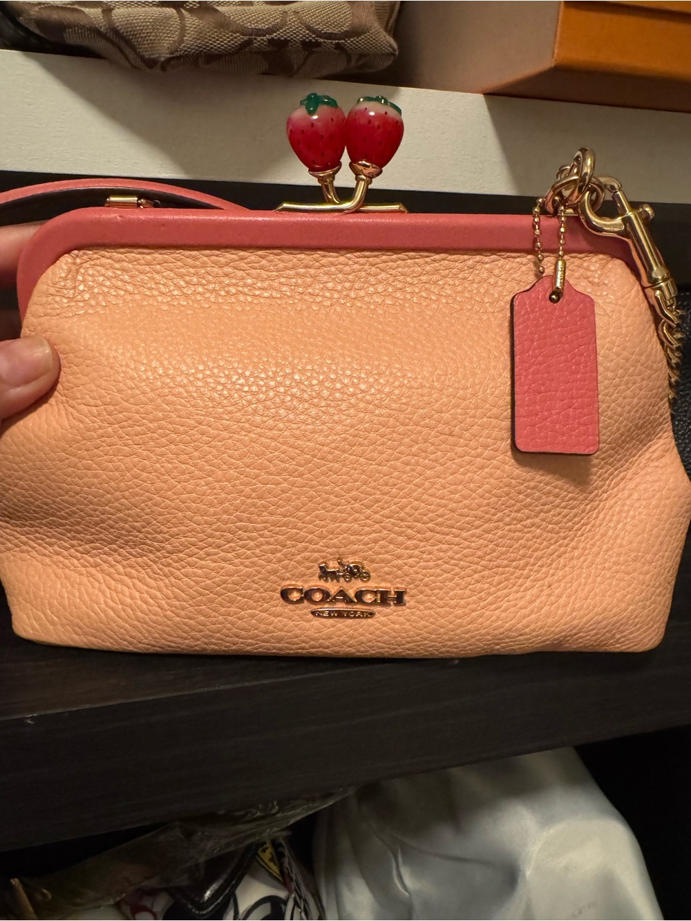 COACH Kora Strawberry Kiss-lock Leather Crossbody Bag